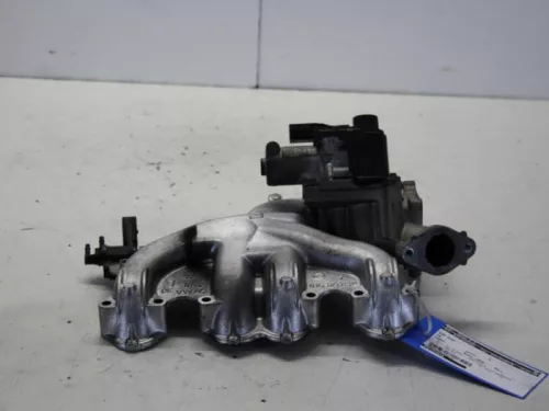 EGR Klep-