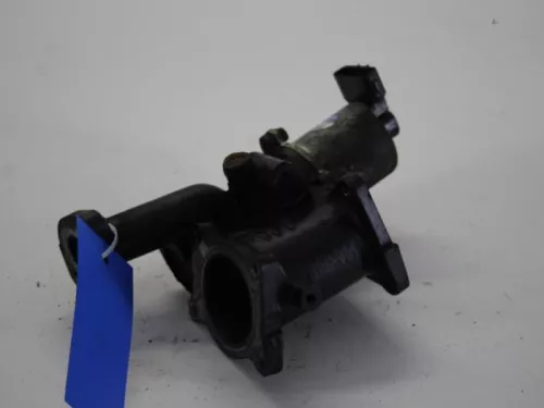 EGR Klep-