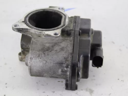 EGR Klep-
