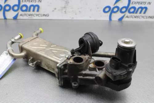EGR Klep-