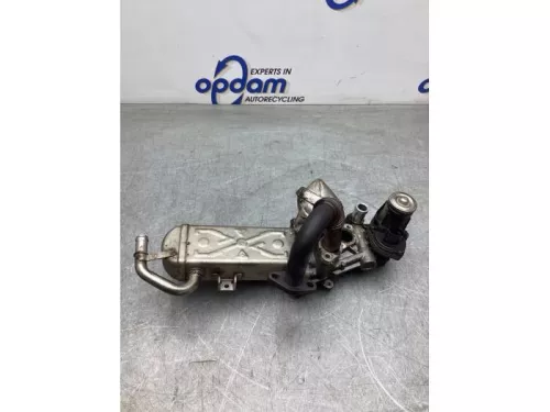 EGR Klep-