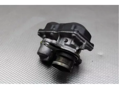 EGR Klep-