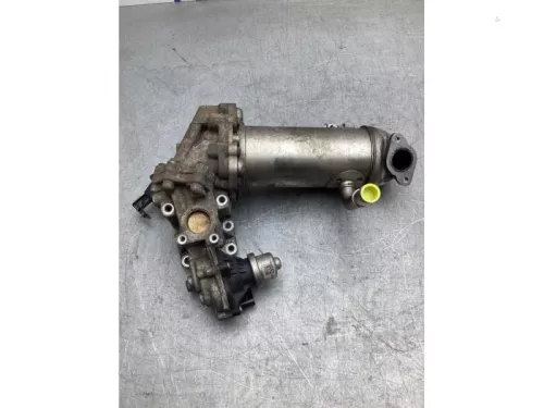 EGR koeler-8025121