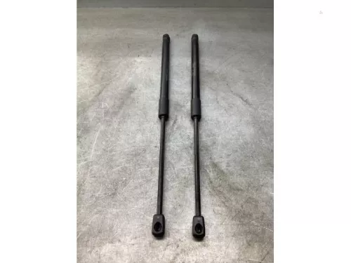 Gasdemper Motorkap Set-8160577