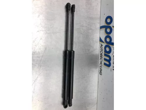 Gasdemper Motorkap Set-6938958
