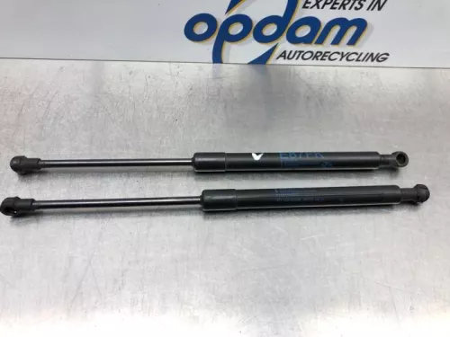 Gasdemper Motorkap Set-6725426
