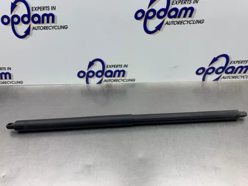 Gasdemper rechts-achter-8239615 (21435654)