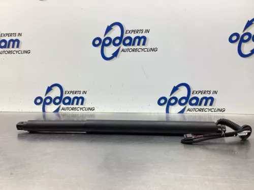 Gasdemper rechts-achter-