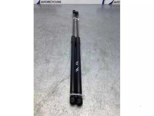 Gasdemperset Kofferdeksel-7868537