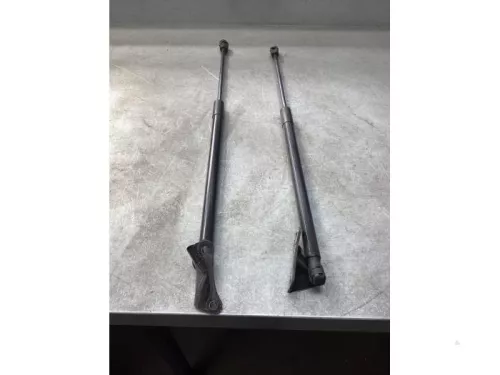 Gasdemperset Kofferdeksel-8024932 (21075748)