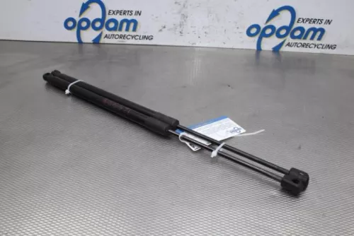 Gasdemperset Kofferdeksel-6936257 (16442359)