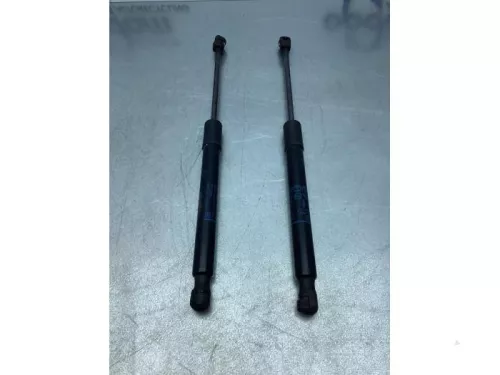 Gasdemperset Kofferdeksel-7472281 (16982186)