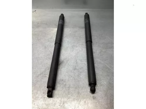 Gasdemperset Kofferdeksel-7926448 (17928039)
