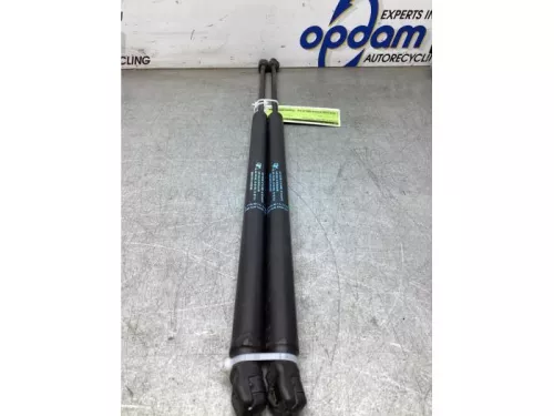 Gasdemperset Kofferdeksel-7981173 (22307656)