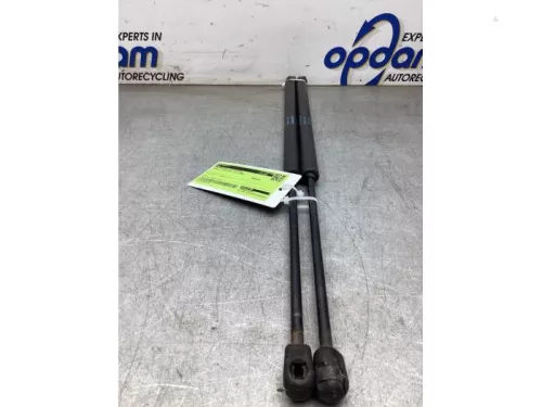 Gasdemperset Kofferdeksel-7981173 (22307656)