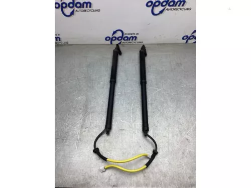 Gasdemperset Kofferdeksel-8175775 (20831619)