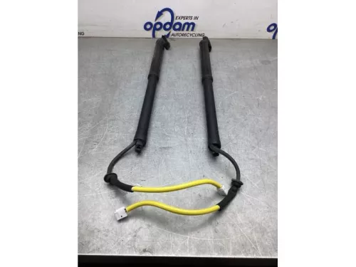 Gasdemperset Kofferdeksel-8175775 (20831619)