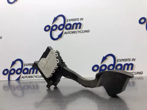 Gaspedaal-8161103 Gaspedaal-8161103