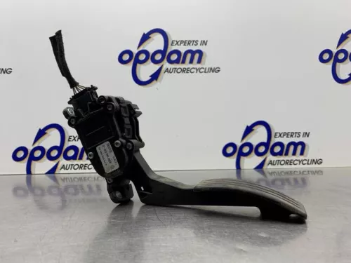Gaspedaal-8150924