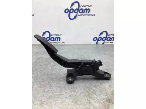 Gaspedaalpositie Sensor-7940559 (18602677)