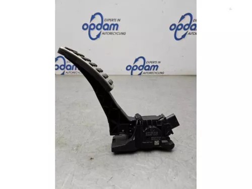 Gaspedaalpositie Sensor-8107788 (21856963)