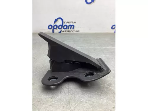 Gaspedaalpositie Sensor-8061244 (19585539)