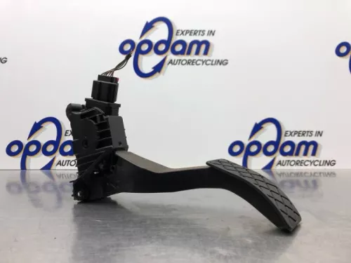 Gaspedaalpositie Sensor-6921457