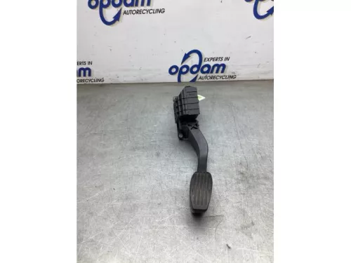 Gaspedaalpositie Sensor-8299275