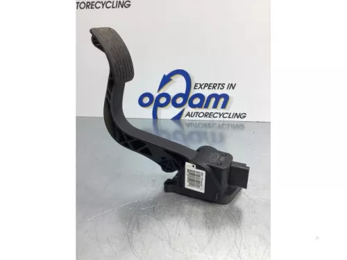 Gaspedaalpositie Sensor-7713281 (16937847)
