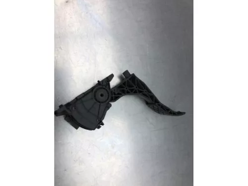 Gaspedaalpositie Sensor-7841097 (17453045)