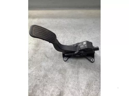 Gaspedaalpositie Sensor-8024932 (21075302)