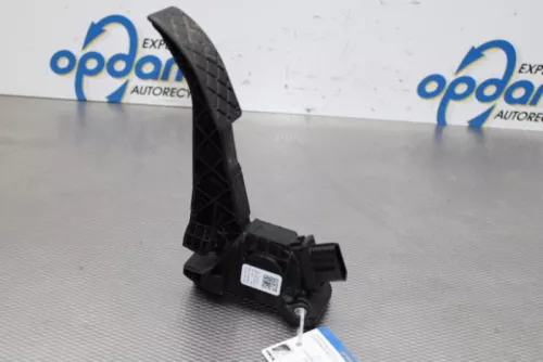 Gaspedaalpositie Sensor-7581997 (15677736)