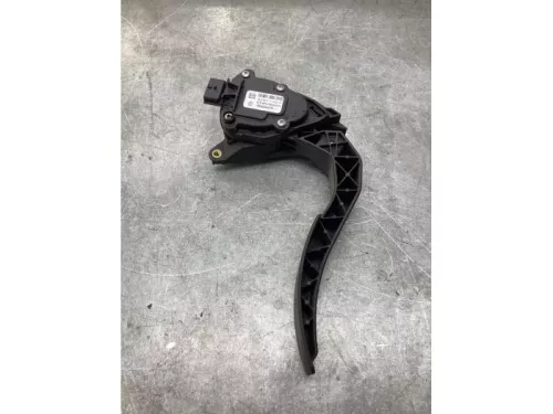 Gaspedaalpositie Sensor-8062263