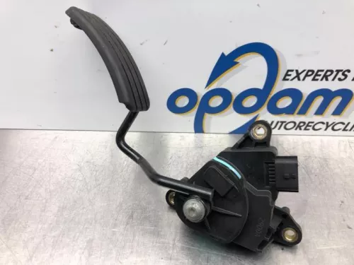 Gaspedaalpositie Sensor-7619495 (16967884)