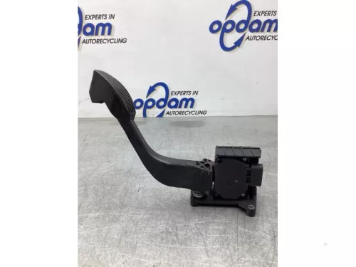 Gaspedaalpositie Sensor-8025084