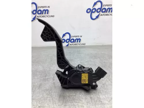 Gaspedaalpositie Sensor-8050375