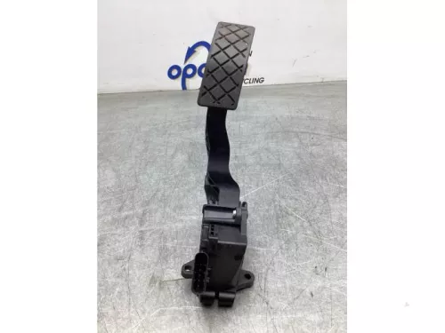 Gaspedaalpositie Sensor-8050375 (19314597)