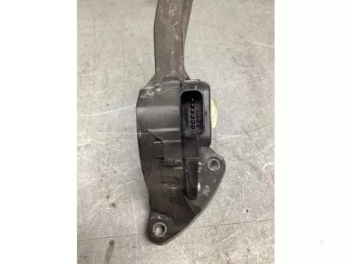 Gaspedaalpositie Sensor-7386454 (20049090)