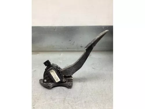 Gaspedaalpositie Sensor-7386454 (20049090)