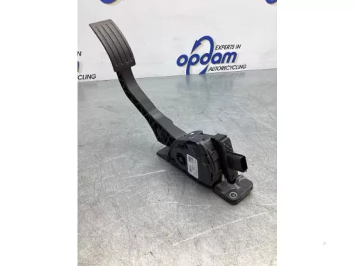 Gaspedaalpositie Sensor-7874489 (17432047)