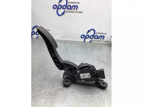 Gaspedaalpositie Sensor-8055054 (20955113)