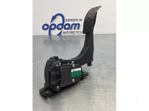 Gaspedaalpositie Sensor-7714596 (17102519)