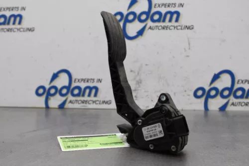 Gaspedaalpositie Sensor-7613839 (16759683)