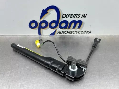 Gordelspanner links-8246769