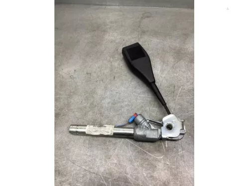 Gordelspanner rechts-8234054 (21682791)