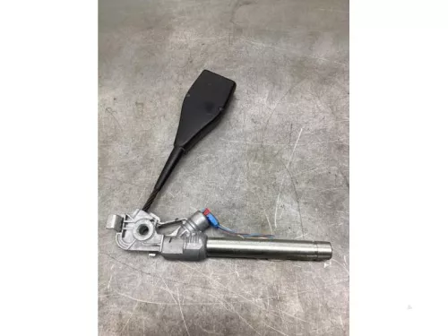 Gordelspanner rechts-8234054 (21682791)