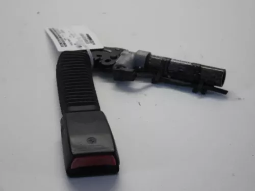 Gordelspanner rechts-7851273