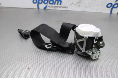 Gordelspanner rechts-7587537