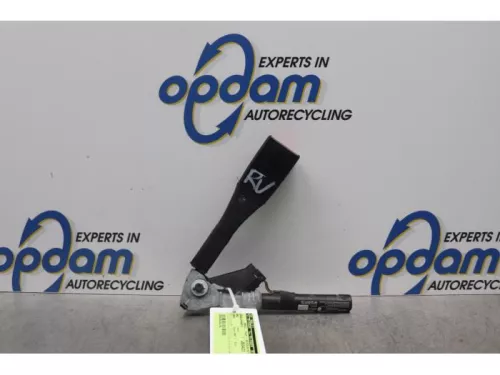 Gordelspanner rechts-7878060