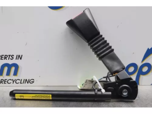 Gordelspanner rechts-7877407